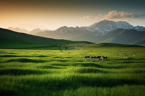 农场的风景图片