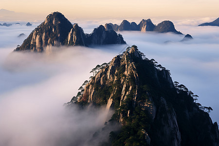 山脉云海松树图片