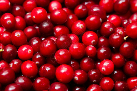 红色的水果蔓越莓背景图片