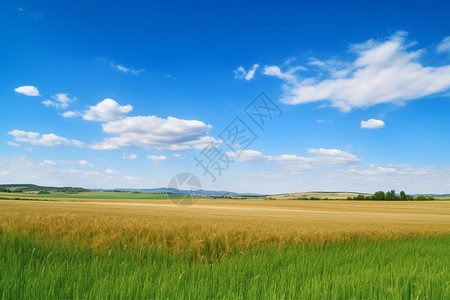 美丽的草原风景图片