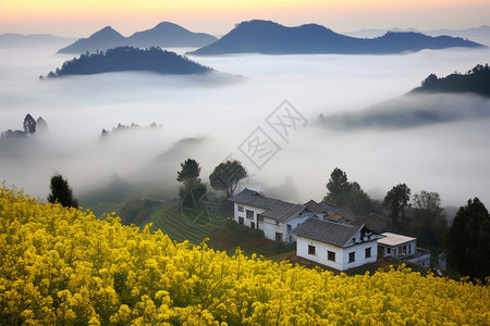 乡村的美丽景色图片