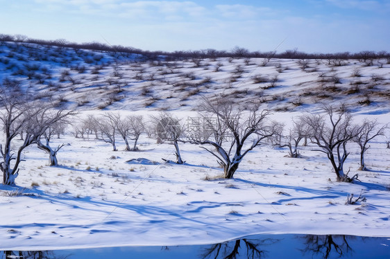 冬天户外的积雪图片