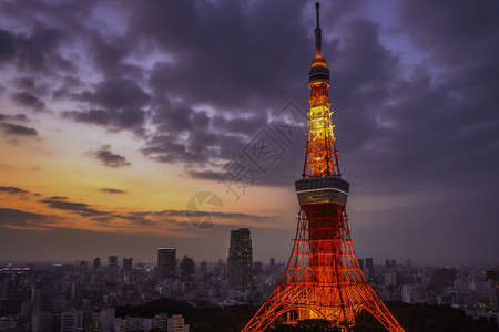 城市塔楼夜景图片