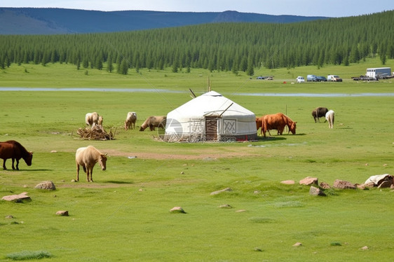 夏季的蒙古包景观图片