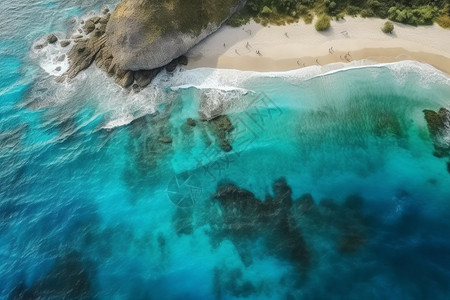 清澈的海洋图片