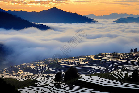 梯田风光日出的美丽背景