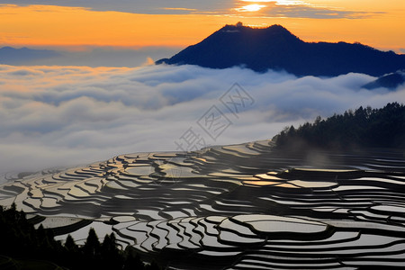 梯田风光日出的景象背景