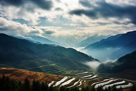 梯田风光日光下的风光背景