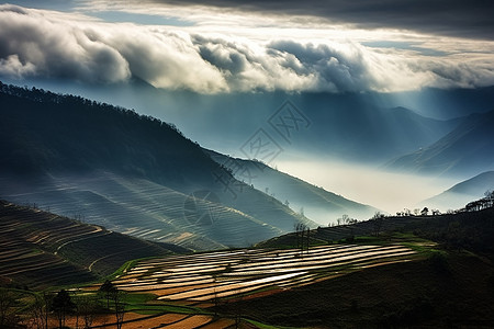 梯田风光自然景观背景