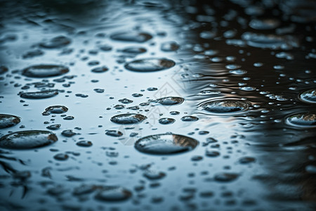 雨滴落下的特写镜头图片