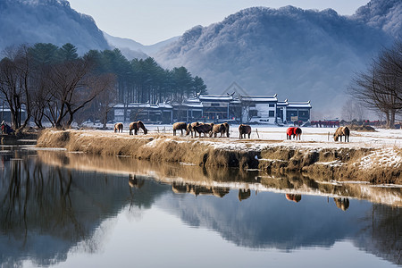 湖边的马图片