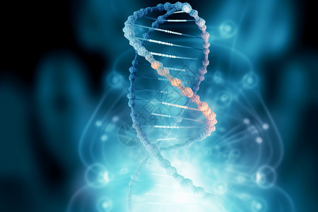 医学生物DNA链概念图图片