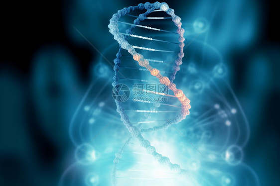医学生物DNA链概念图图片