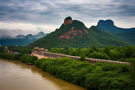 山上长满植物图片