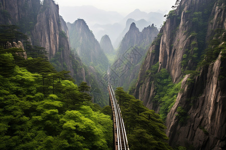 夏季黄山的自然景观图片