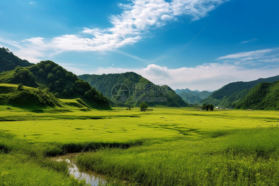 夏季的美丽景观图片