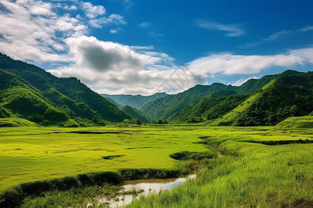 草原的神秘景观图片