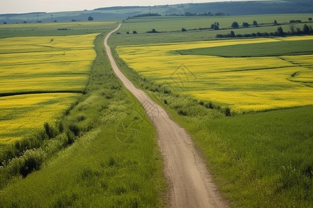 美丽乡村道路图片