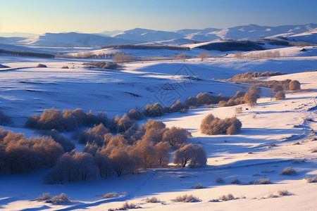 冬天的乌兰布通草原美景图片