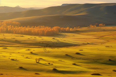 乌兰布通草原的自然风光图片