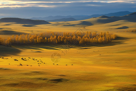 美丽的乌兰布通草原图片