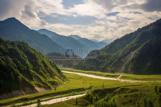 夏天平静户外森林的自然景观图片