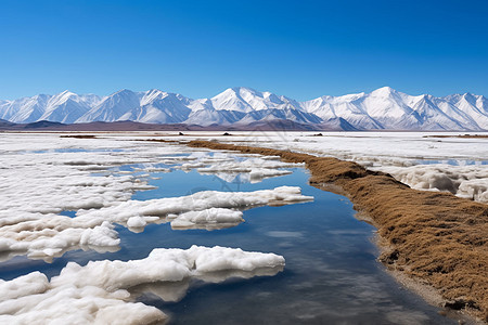 昆仑山雪山的自然景观图片