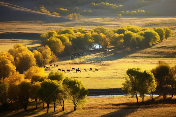 美丽的秋天大草原图片