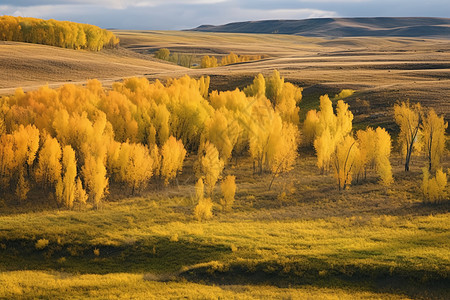 秋天的乌兰布通草原自然景观图片