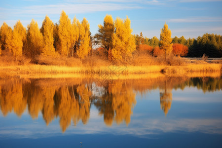 美丽的红松湖景观图片