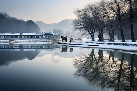 冬天南湖风景图片