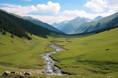 一家旅行郊外的草地背景