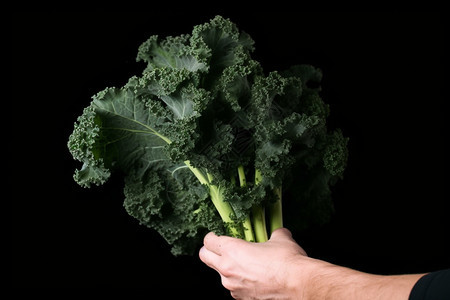 蔬菜的细节描写图片