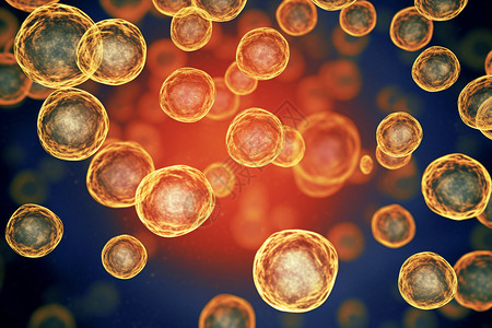 生物学繁殖概念图片素材正版创意图片600250251摄图网