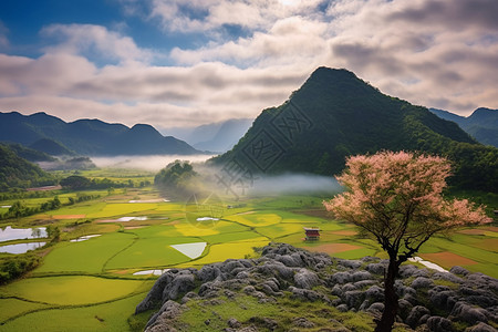 乡村的美丽自然风景图片