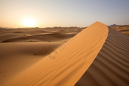 阳光下的阿拉伯沙漠图片