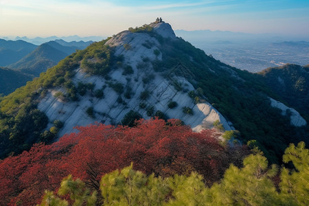 的美丽景观图片