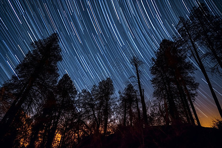 山区森林的星空图片