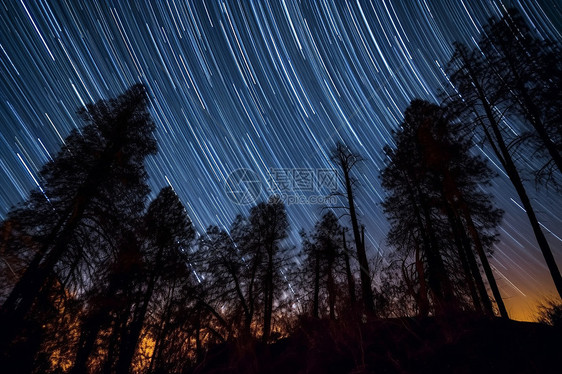 山区森林的星空图片