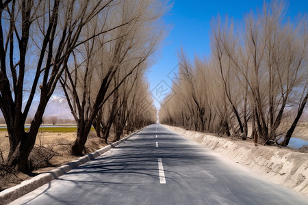 高速公路背景图片