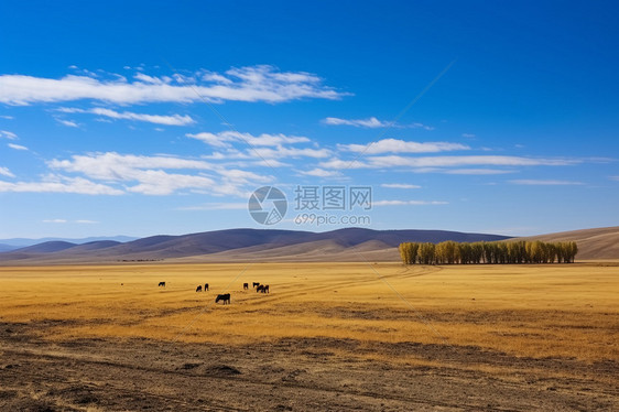 秋天的草原和山脉图片