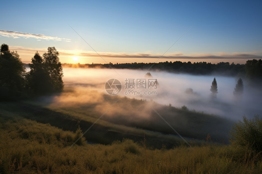 早晨森林的风景图片