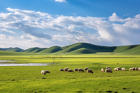 乌兰布通草原背景