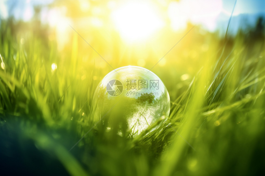 阳光下草丛中的透明泡泡图片