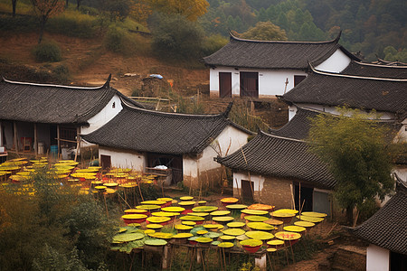 在屋顶晾晒的场景图片