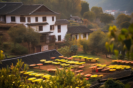 农村户外晾晒场景图片