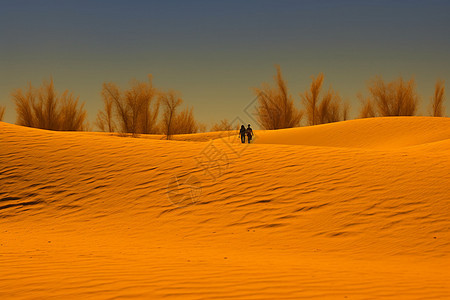 苍凉的沙漠图片