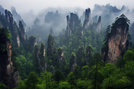 阴雨自然风景图片