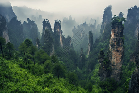 自然阴雨风景图片