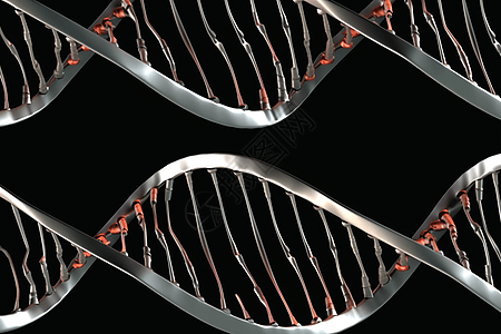 3D基因DNA结构图片